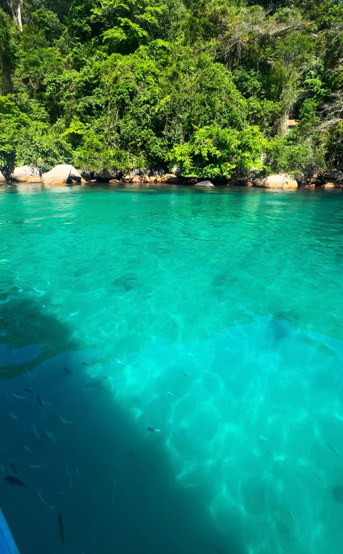 Águas cristalinas