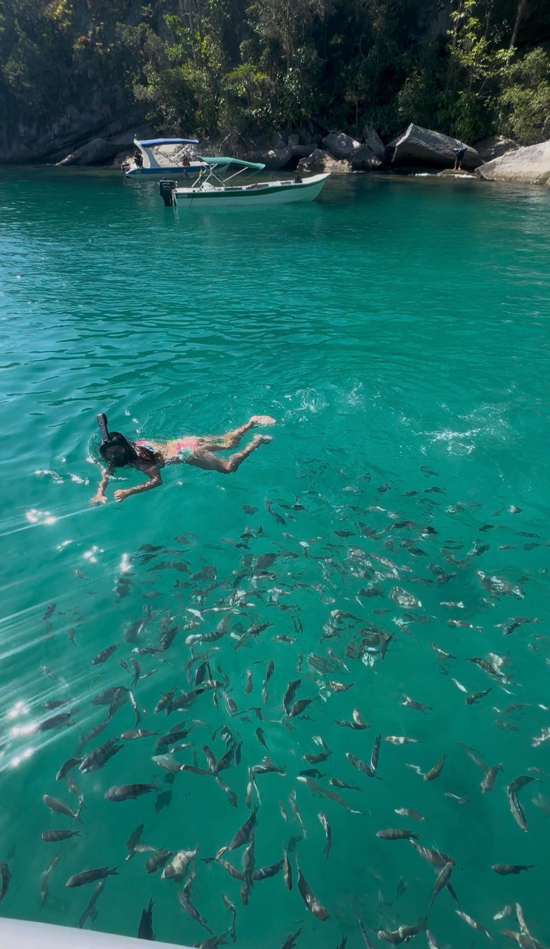 Mergulho entre os peixes
